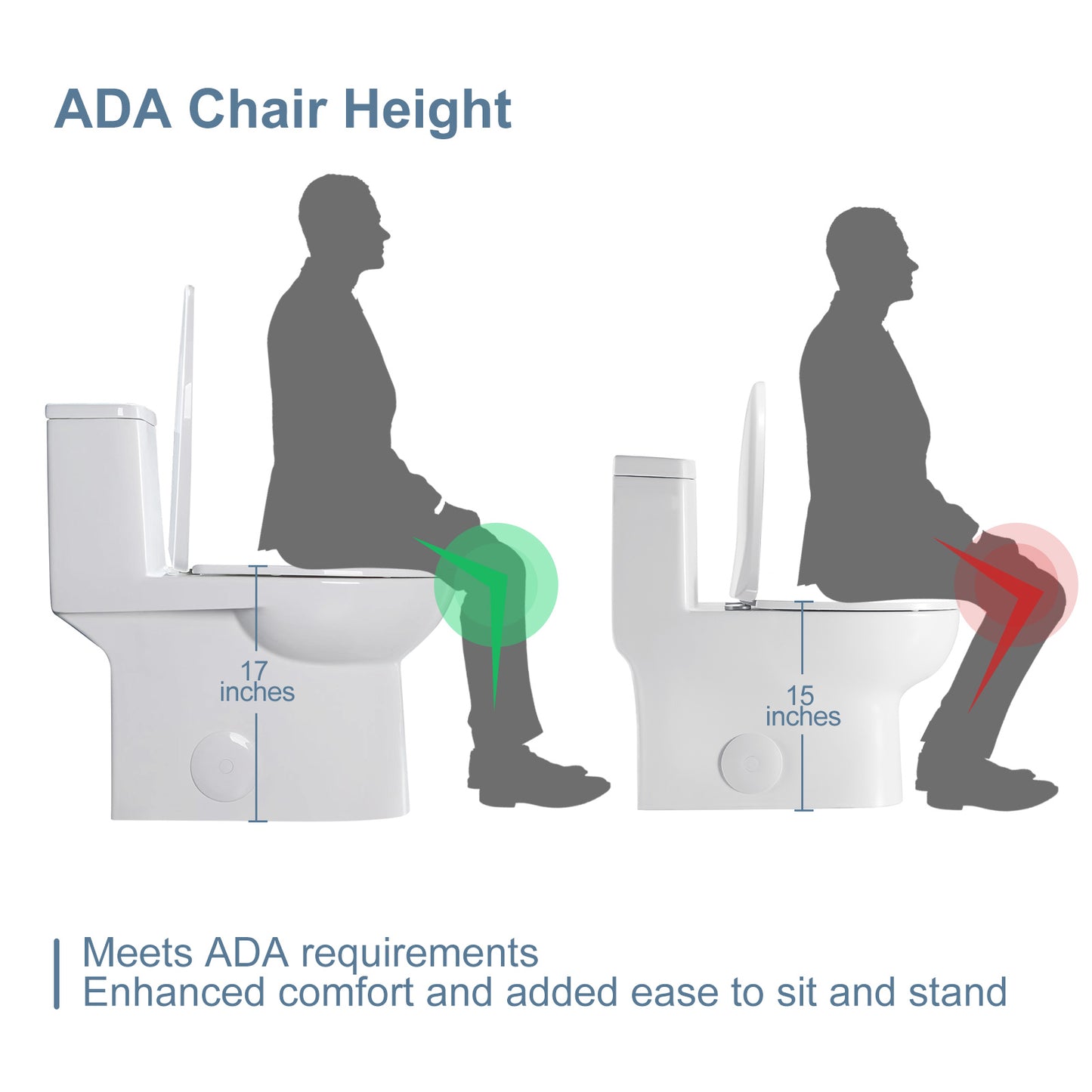 One-Piece 1.1/1.6 GPF Dual Flush Elongated Toilet in White Seat Included, WaterSense Toilet