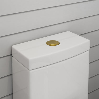 One-Piece 1.1/1.6 GPF Dual Flush Round Toilet in White, Seat Included, with Brushed Gold Button